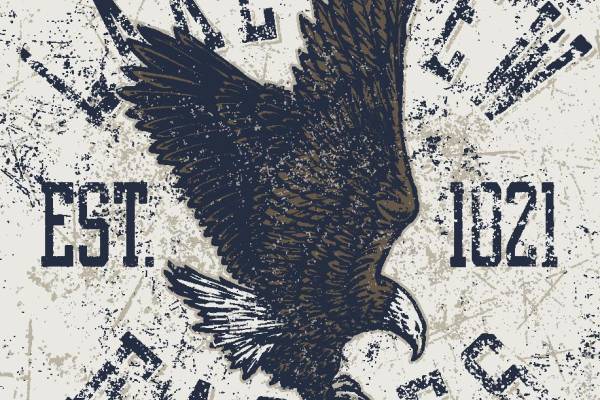 复古风格鹰图案裁片印花服装,展现个性与历史感