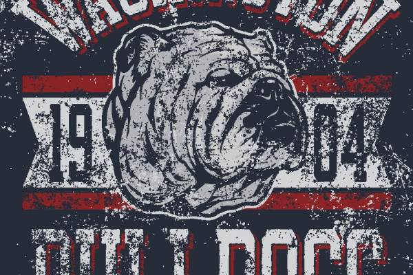 复古风格华盛顿斗牛犬裁片印花服装印花设计