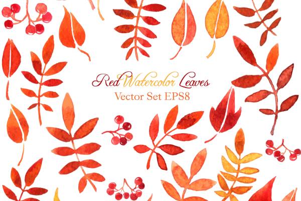 秋季红色水彩叶子裁片印花服装印花设计