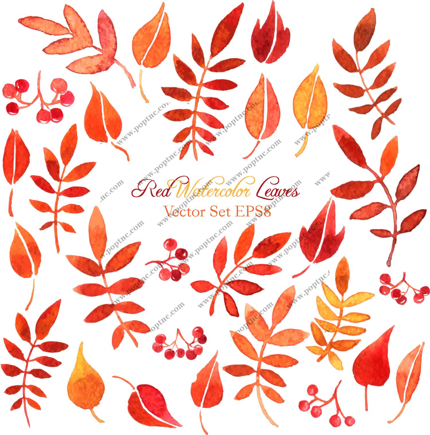 秋季红色水彩叶子裁片印花服装印花设计