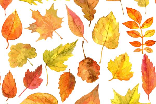 秋季多彩树叶裁片印花服装印花设计