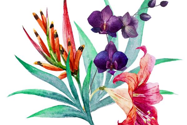 夏季清新花卉裁片印花服装印花设计