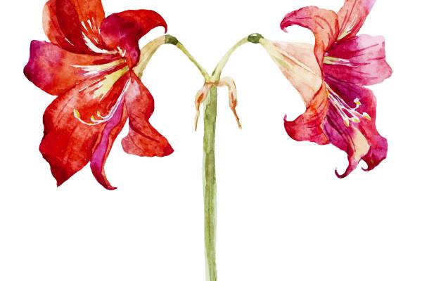 时尚水彩花卉裁片印花服装印花设计