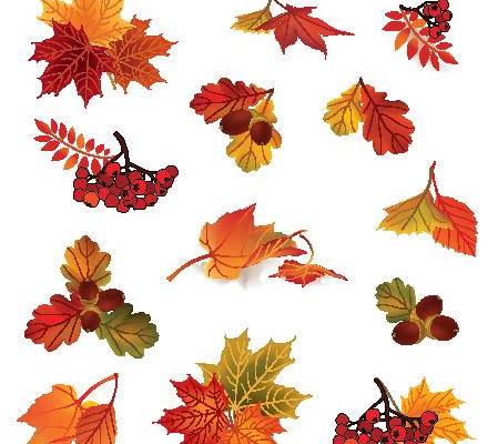 秋季枫叶浆果裁片印花服装印花设计