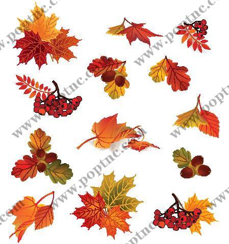 秋季枫叶浆果裁片印花服装印花设计