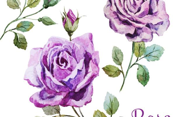 优雅紫色水彩玫瑰裁片印花服装印花设计
