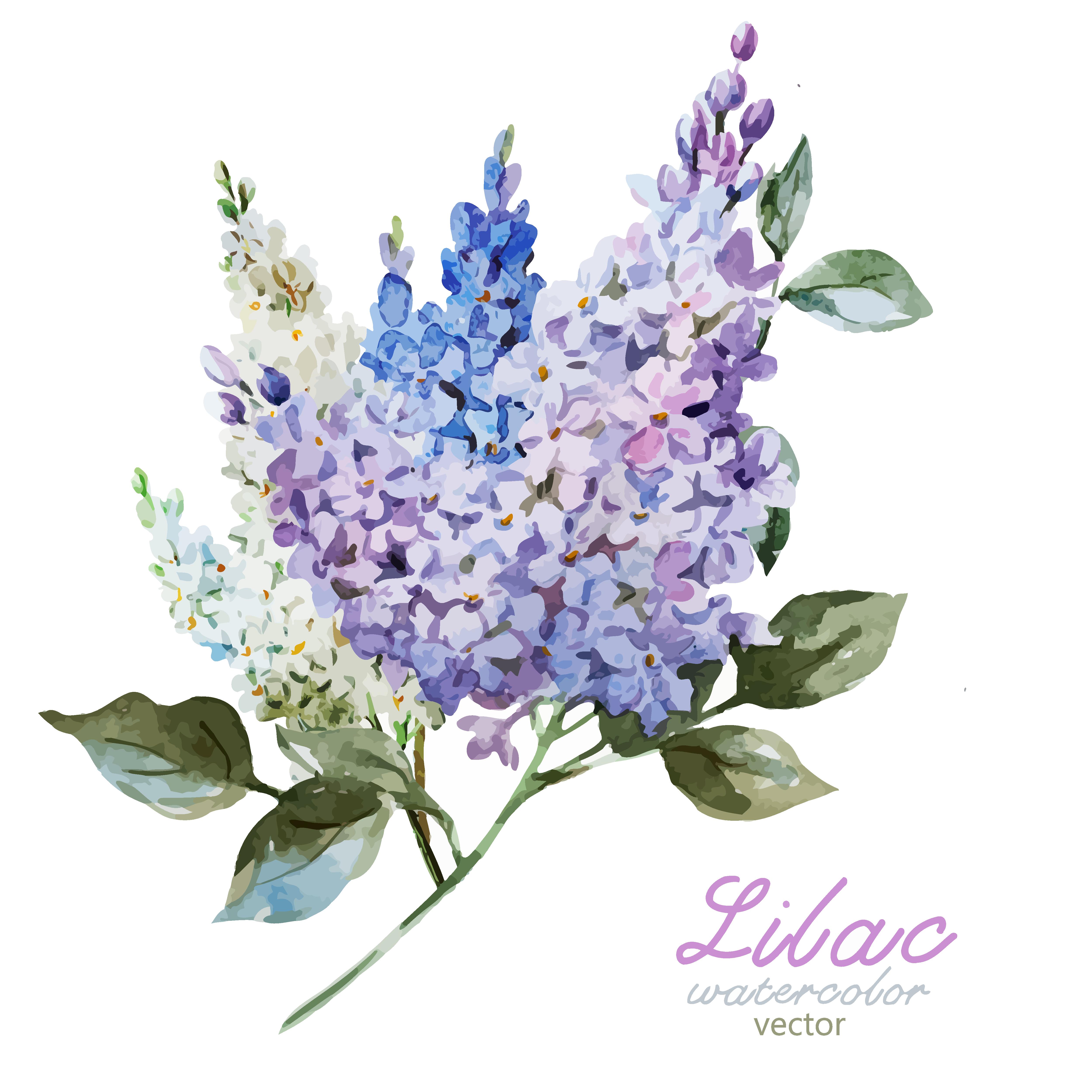 唯美丁香花裁片印花服装印花设计