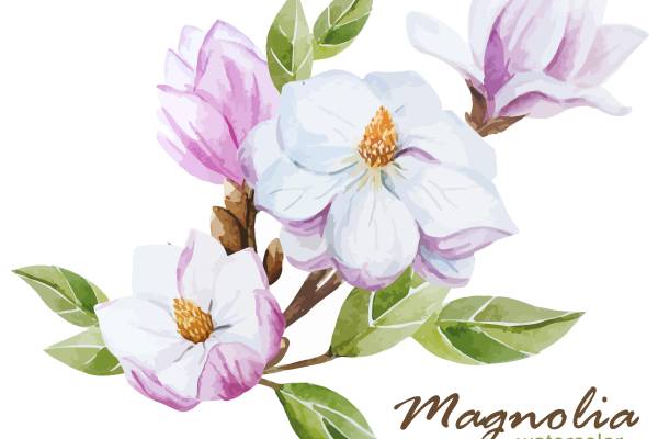 时尚水彩木兰裁片印花服装印花设计