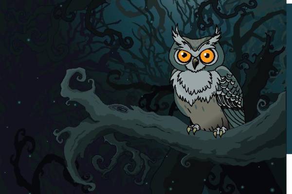 神秘猫头鹰裁片印花服装，展现自然之美的时尚选择