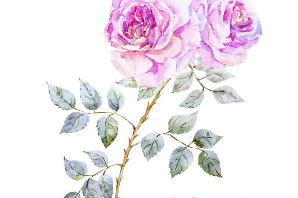 优雅水彩玫瑰裁片印花服装设计