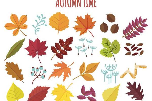 秋季主题服装印花设计:多彩树叶裁片印花图案