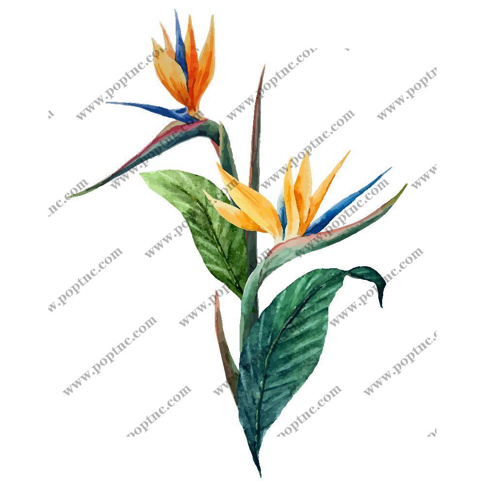 自然风格水彩花卉裁片印花服装