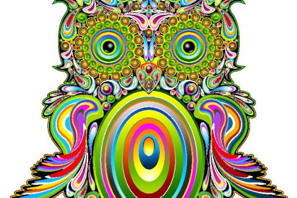 炫彩猫头鹰裁片印花服装,时尚潮流的代表