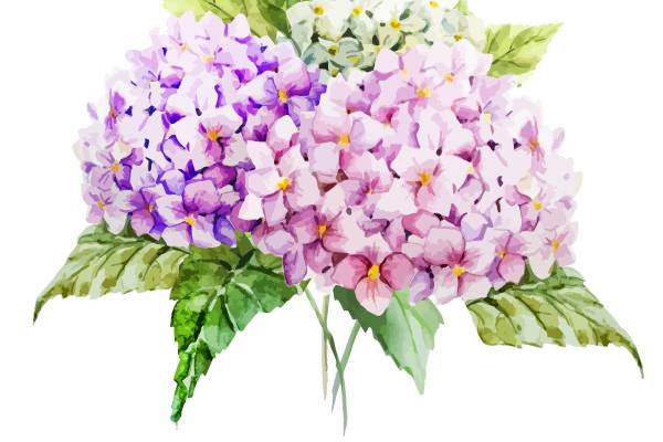 优雅紫色绣球花裁片印花服装设计