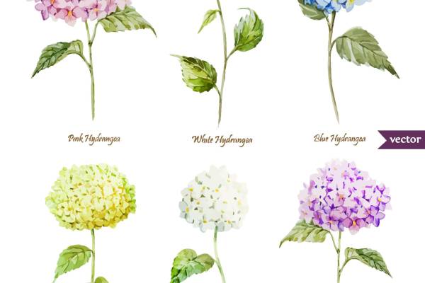 多彩绣球花裁片印花服装印花设计