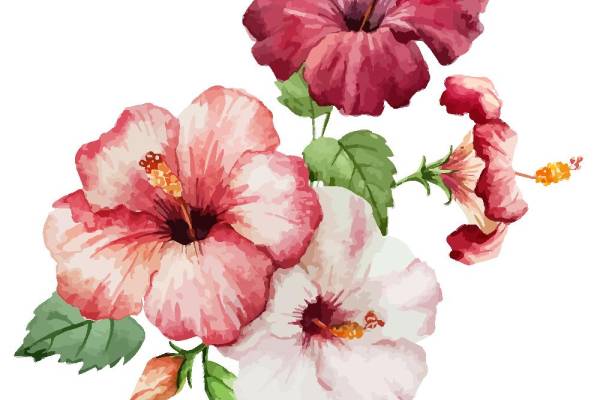 时尚水彩花卉裁片印花服装，展现自然之美