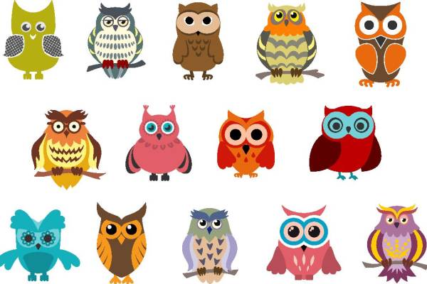 多彩卡通猫头鹰裁片印花服装印花设计