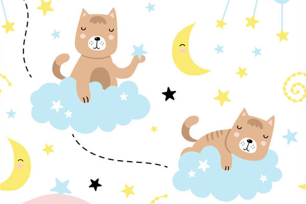 梦幻星空柴犬面料印花,打造可爱儿童服装印花