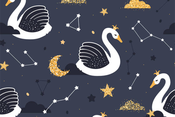 梦幻星空天鹅服装印花面料设计