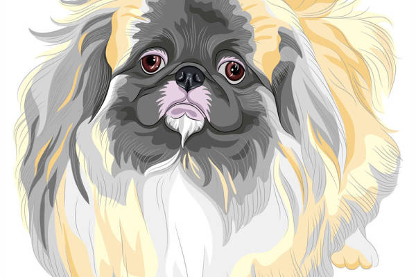 可爱卡通狗裁片印花服装，时尚个性宠物图案服装印花设计