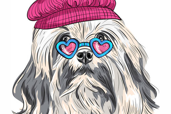 可爱狗狗裁片印花服装，时尚个性宠物风格服装印花