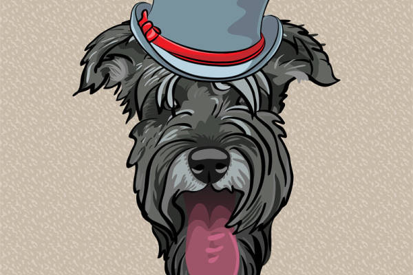 时尚狗狗裁片印花服装，经典礼帽与领结搭配