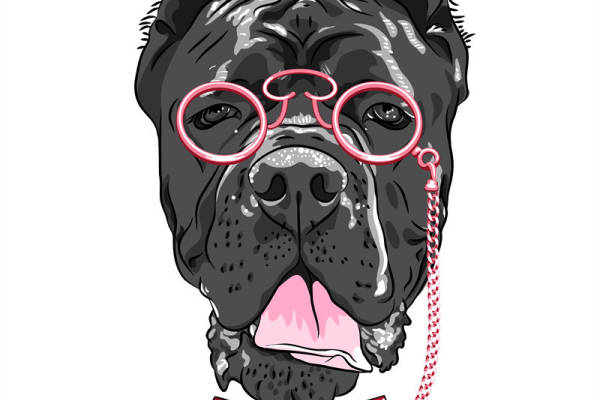 时尚趣味裁片印花服装，萌宠法斗犬图案，适合各种场合