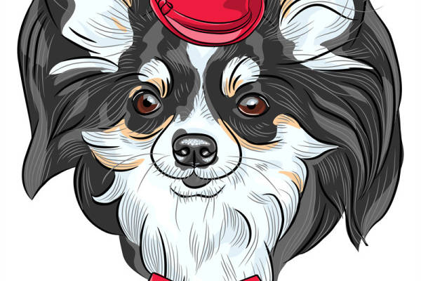 时尚可爱狗狗裁片印花服装，增添趣味个性服装印花设计