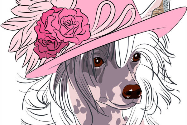 可爱卡通狗戴粉色牛仔帽裁片印花服装印花设计