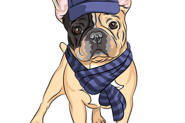 时尚狗狗裁片印花服装，可爱法斗卡通图案服装印花设计