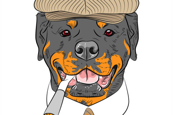 独特风格罗威纳犬裁片印花服装印花设计