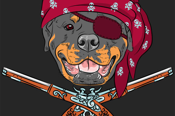 时尚海盗狗裁片印花服装 独特个性设计