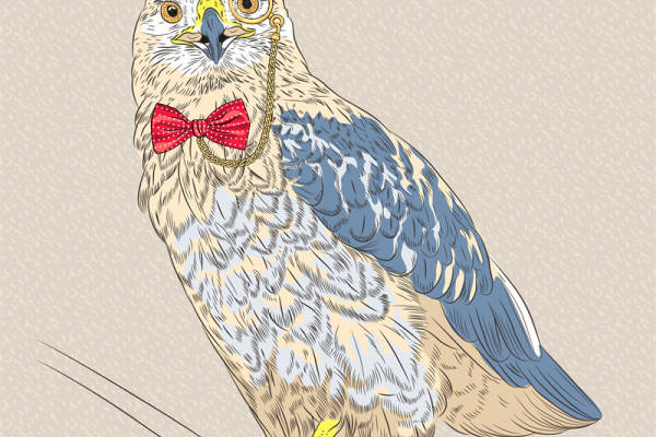 时尚猫头鹰裁片印花服装，创意个性服装印花设计