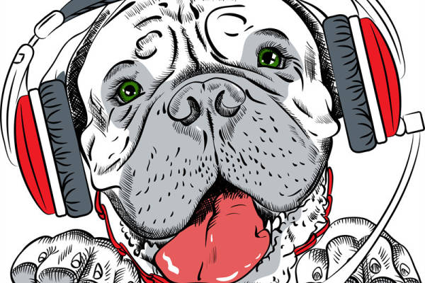 创意音乐狗裁片印花服装,时尚潮流服装印花设计