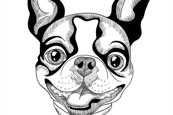 时尚可爱波士顿梗犬裁片印花服装印花设计