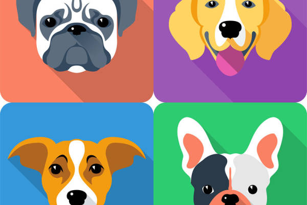 可爱狗狗主题裁片印花服装，增添活力与趣味