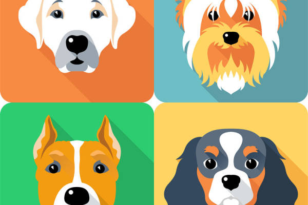 创意狗狗裁片印花服装 时尚宠物图案服装印花设计