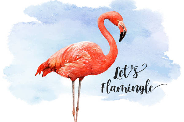 时尚水彩火烈鸟裁片印花服装，夏日活力服装印花设计