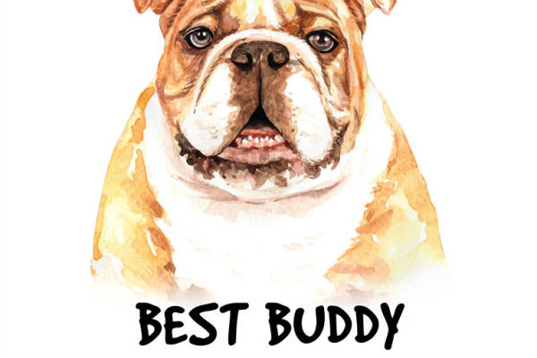 温馨可爱的英斗裁片印花服装，展现最佳伙伴魅力