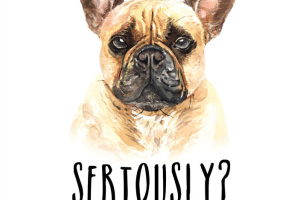 趣味法斗裁片印花服装,展现独特个性风格