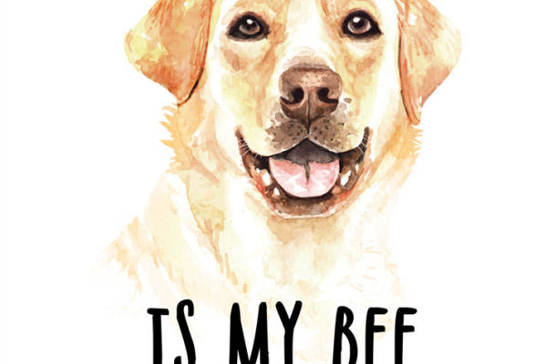 可爱拉布拉多犬裁片印花服装，最佳朋友时尚选择