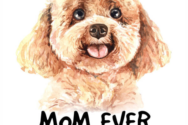 可爱玩具贵宾犬裁片印花服装,温馨宠物主题服装印花设计