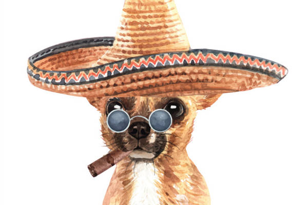 时尚狗头裁片印花服装 趣味动物图案服装印花设计