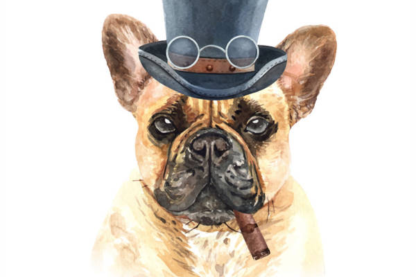 时尚绅士风格法斗犬裁片印花服装印花设计