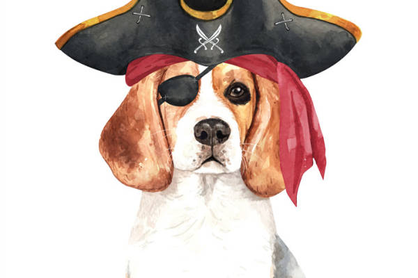 时尚海盗风裁片印花服装印花设计