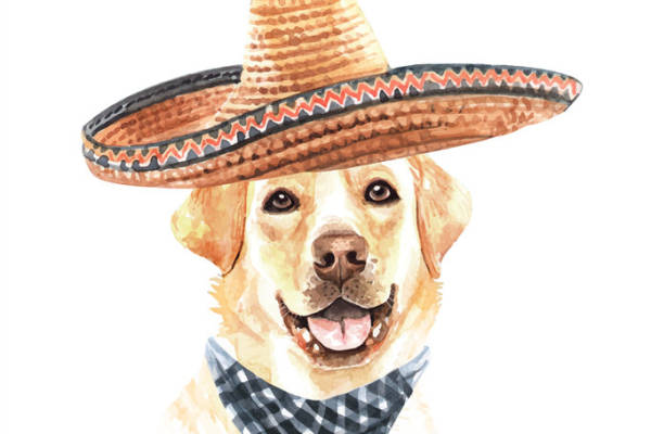 可爱狗狗裁片印花服装 时尚水彩风格服装印花设计