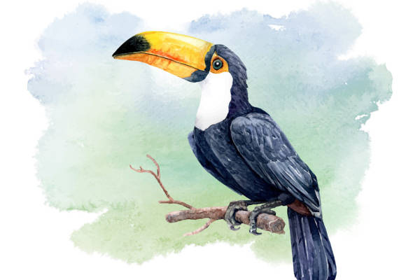 时尚水彩风格大嘴鸟裁片印花服装印花设计