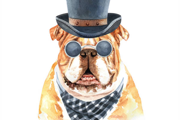 时尚狗狗裁片印花服装，趣味卡通动物图案服装印花