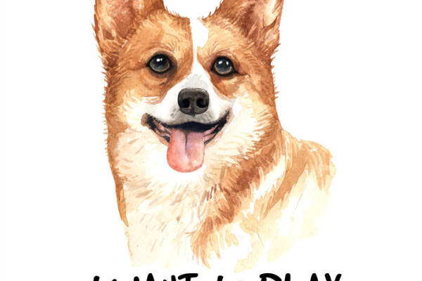 可爱威尔士柯基裁片印花服装，展现活泼风格