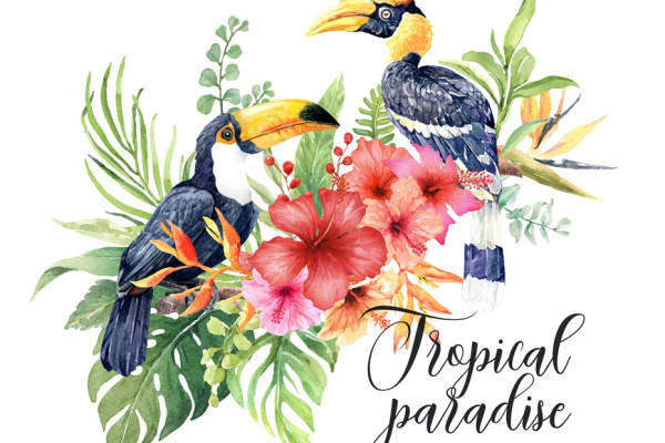 热带天堂裁片印花服装 夏日度假风时尚水彩印花